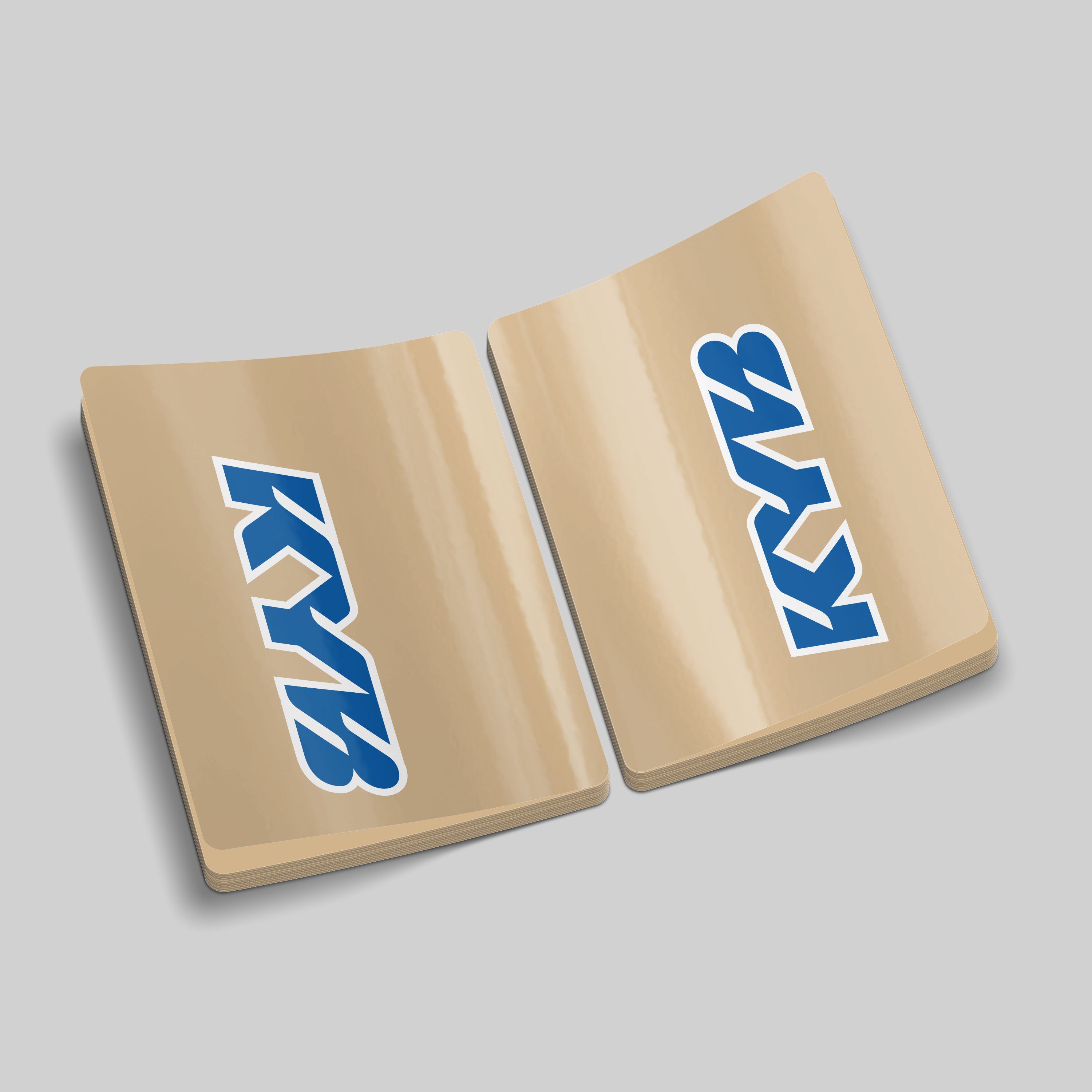 KYB Fork Tube Decals