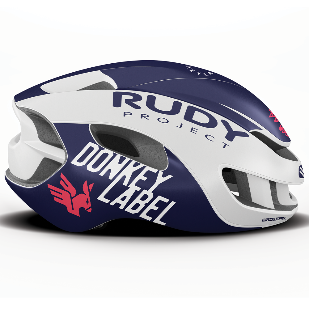 donkey motorcycle helmet Donkey Label RUDY Nytron