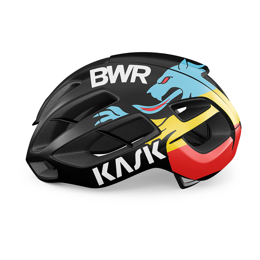 BWR KASK PROTONE ICON