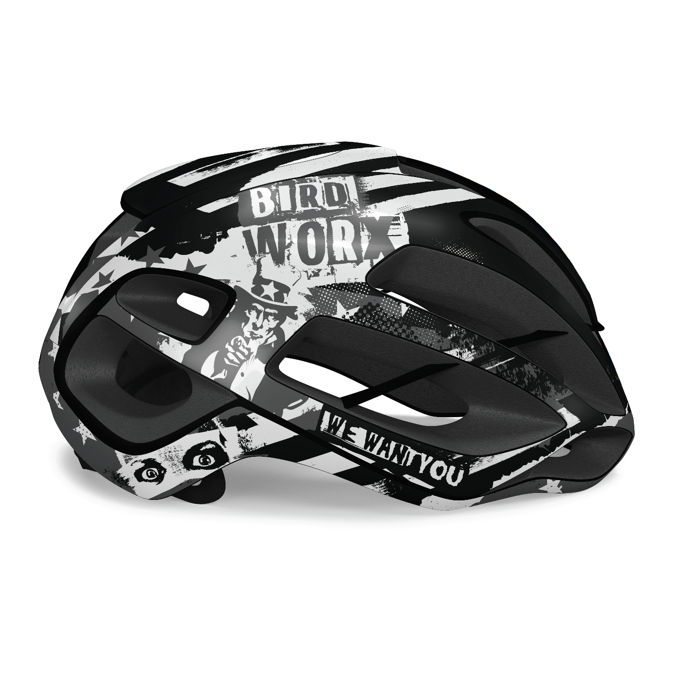 BIRDWORX American Grunge for KASK Protone ICON