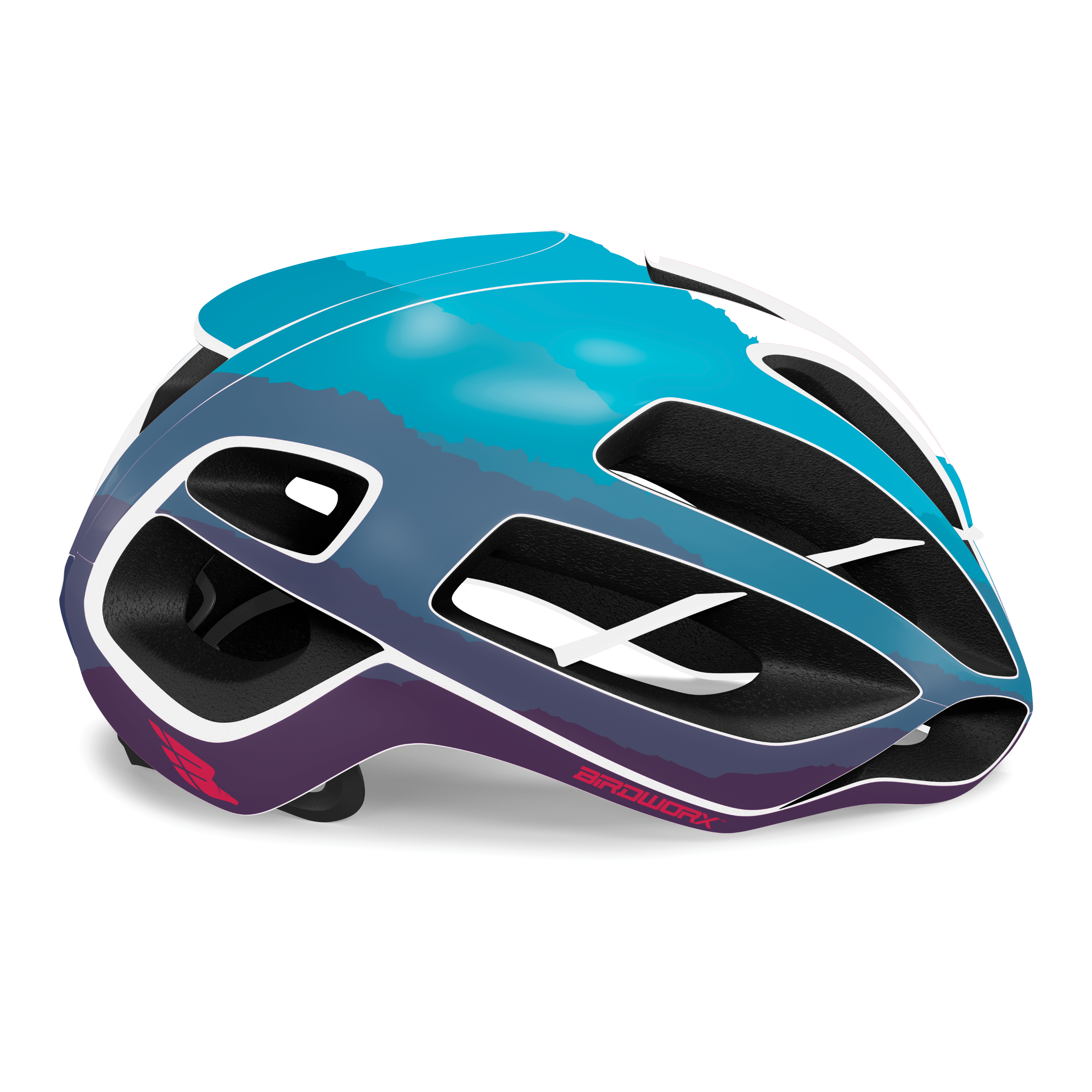 BIRDWORX ASCENT for KASK PROTONE ICON