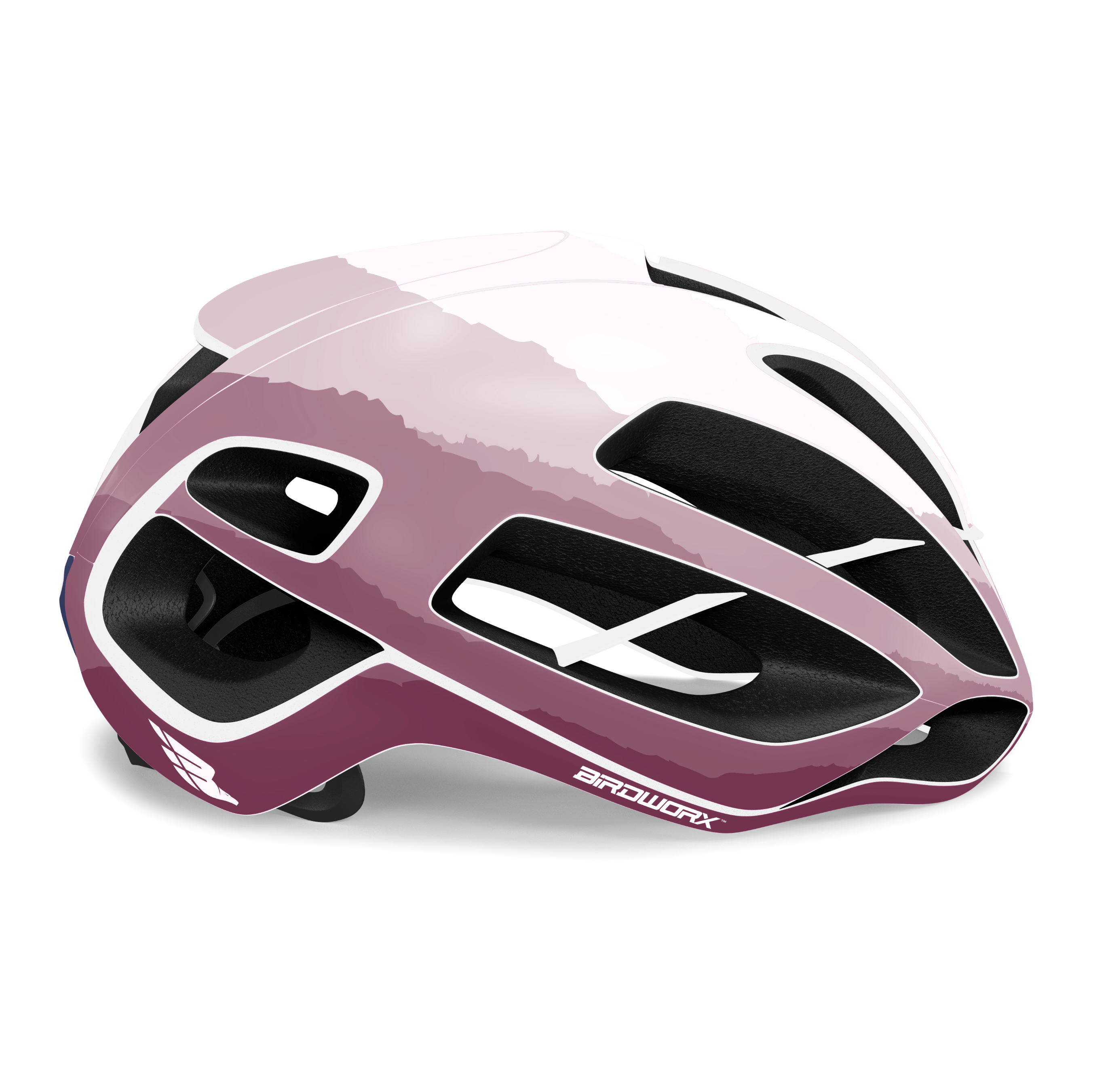 BIRDWORX ASCENT for KASK PROTONE ICON