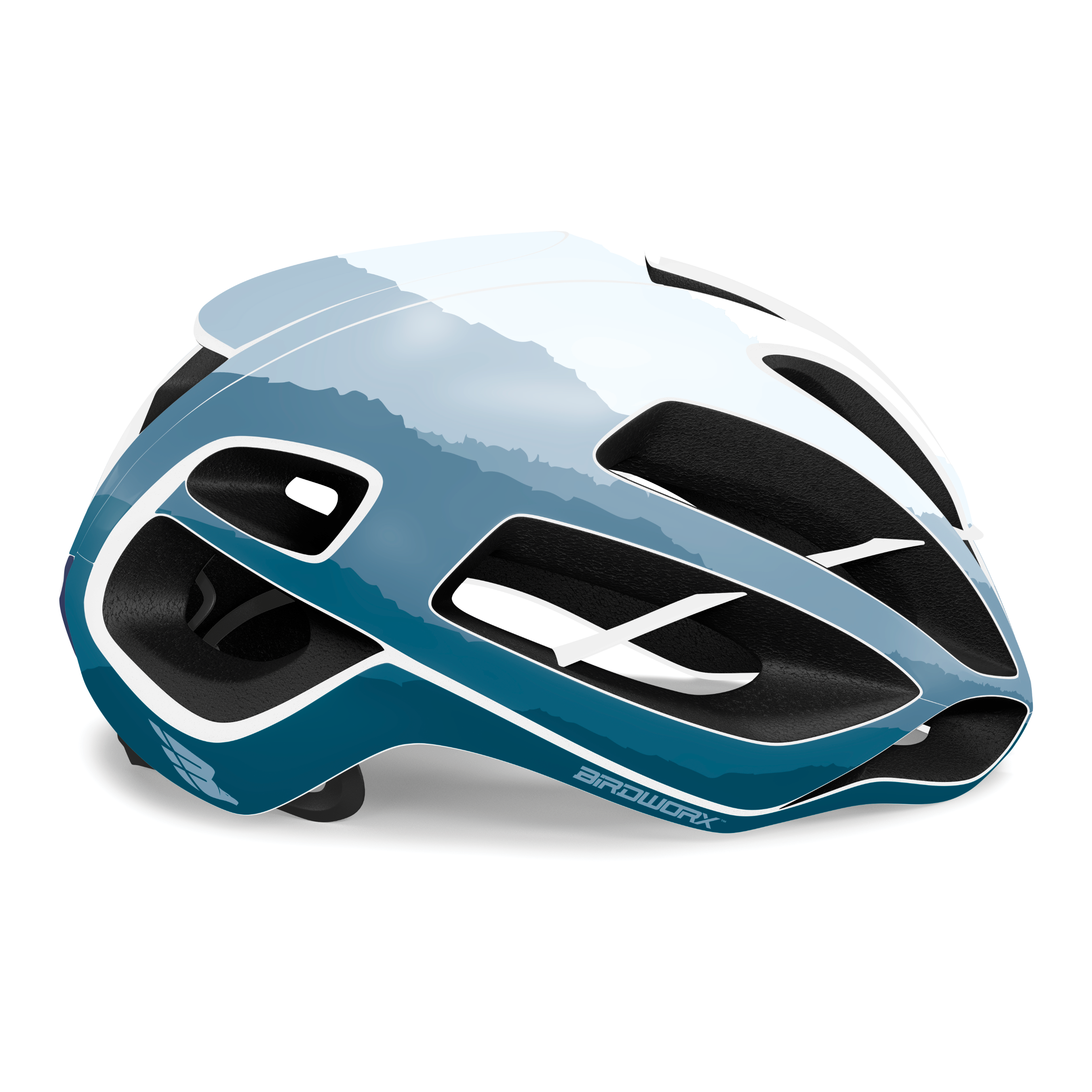 BIRDWORX ASCENT for KASK PROTONE ICON