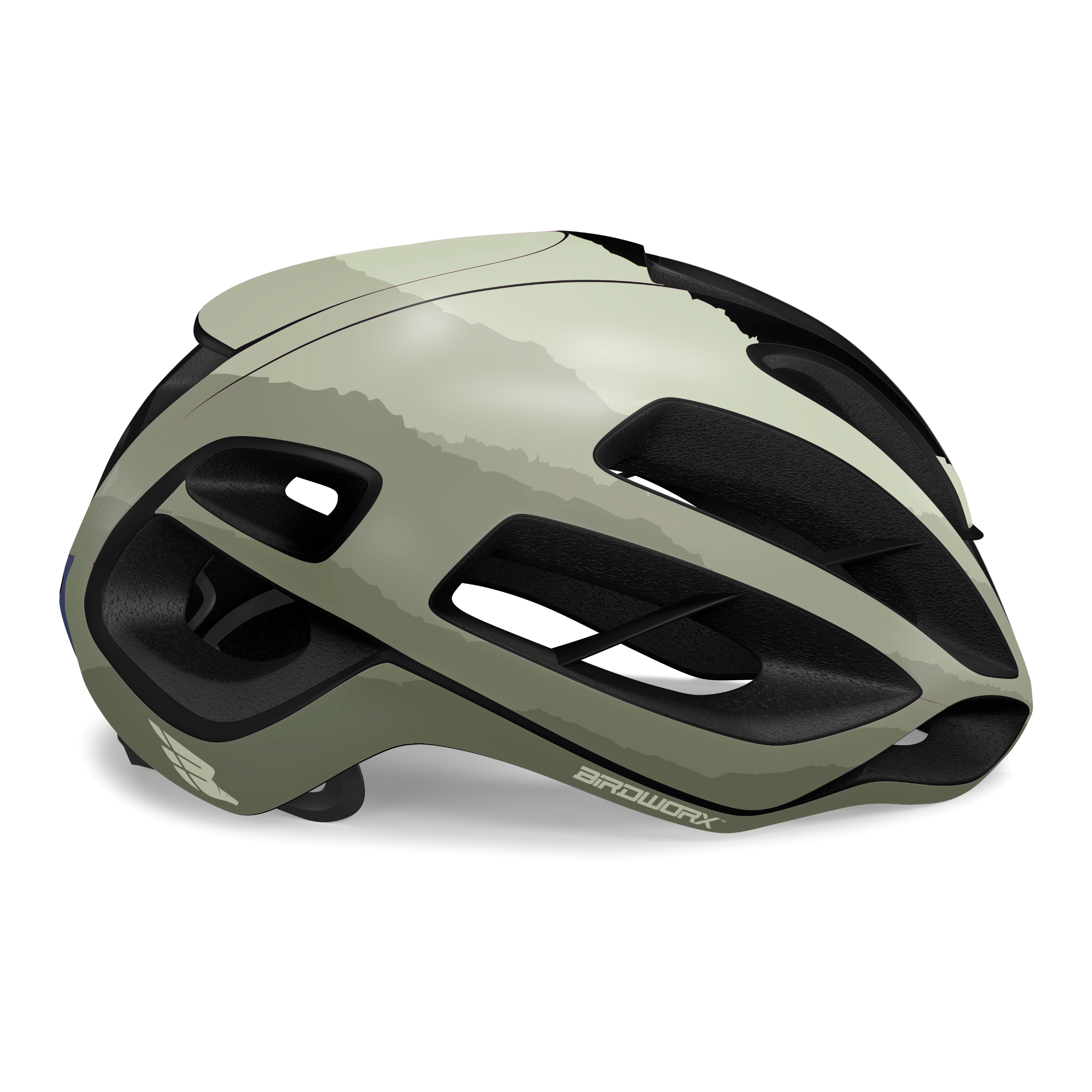 BIRDWORX ASCENT for KASK PROTONE ICON