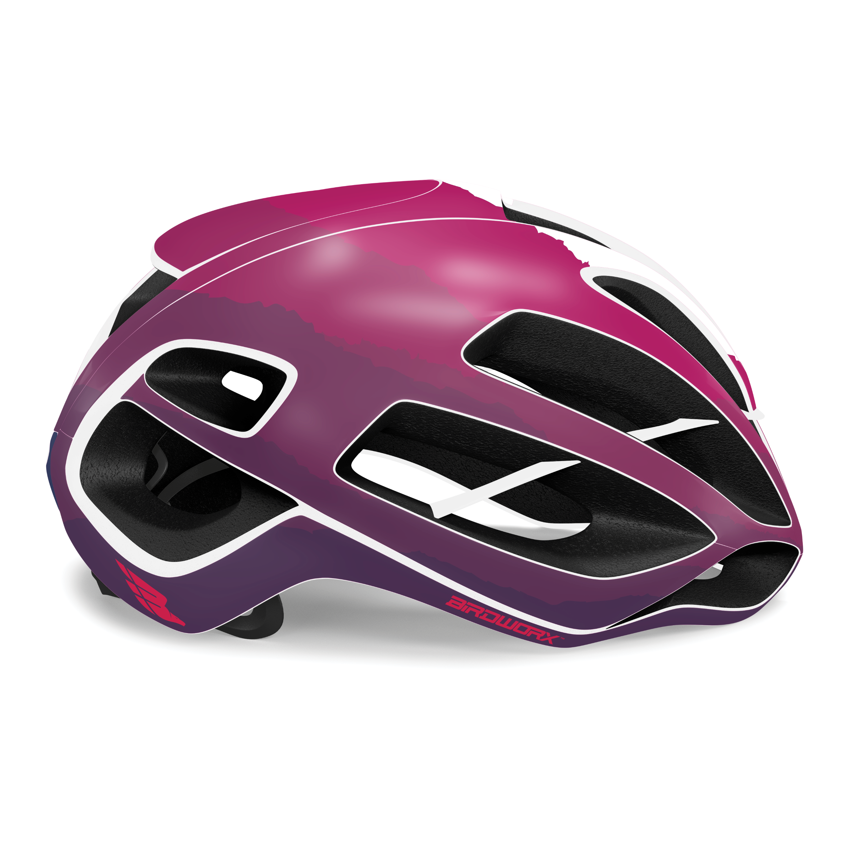 BIRDWORX ASCENT for KASK PROTONE ICON