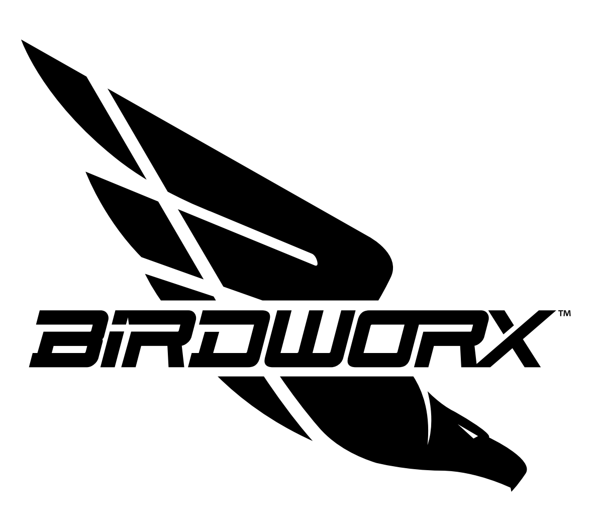 Birdworx Custom Art/Design Fee - $50