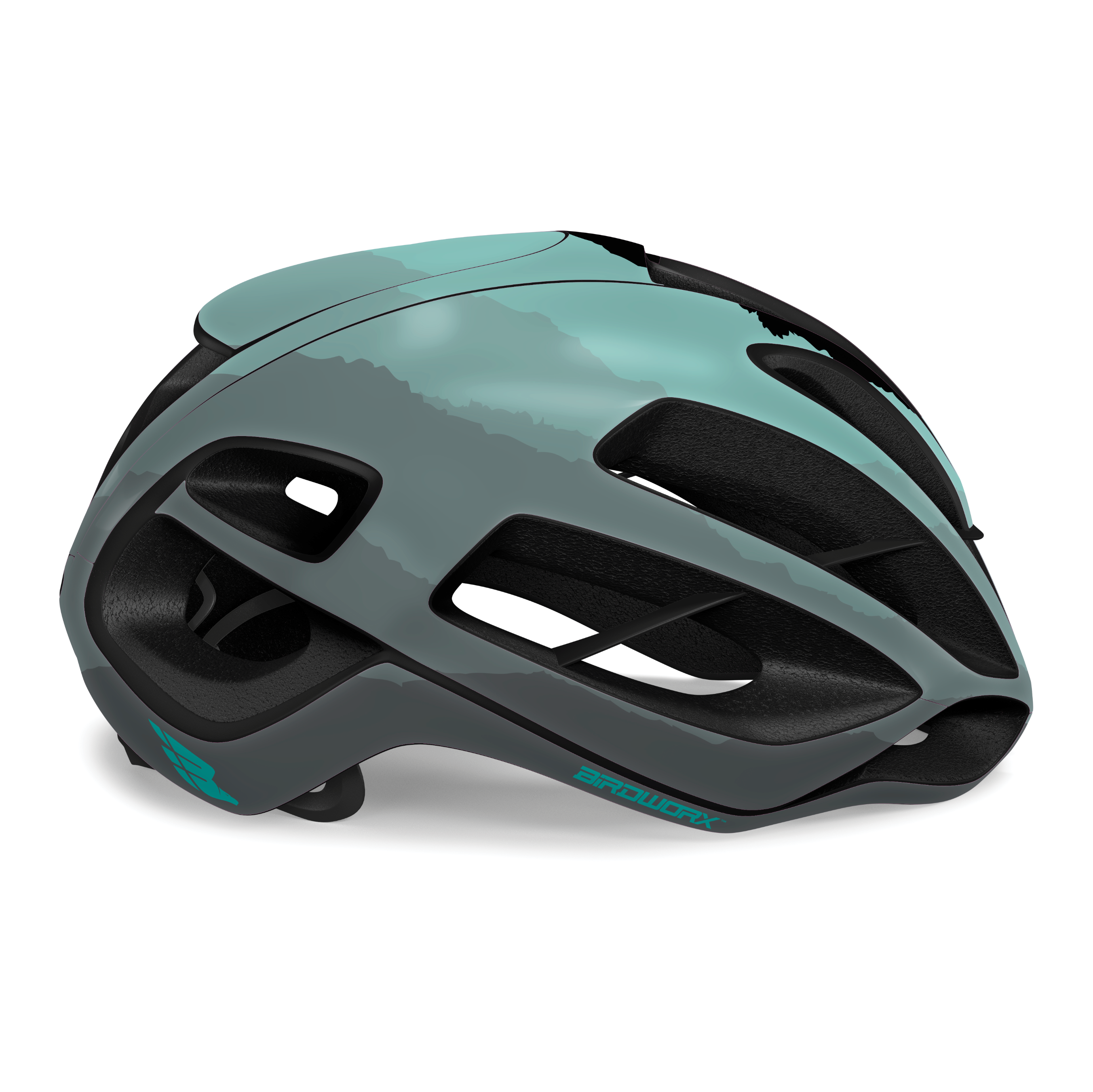 BIRDWORX ASCENT for KASK PROTONE ICON