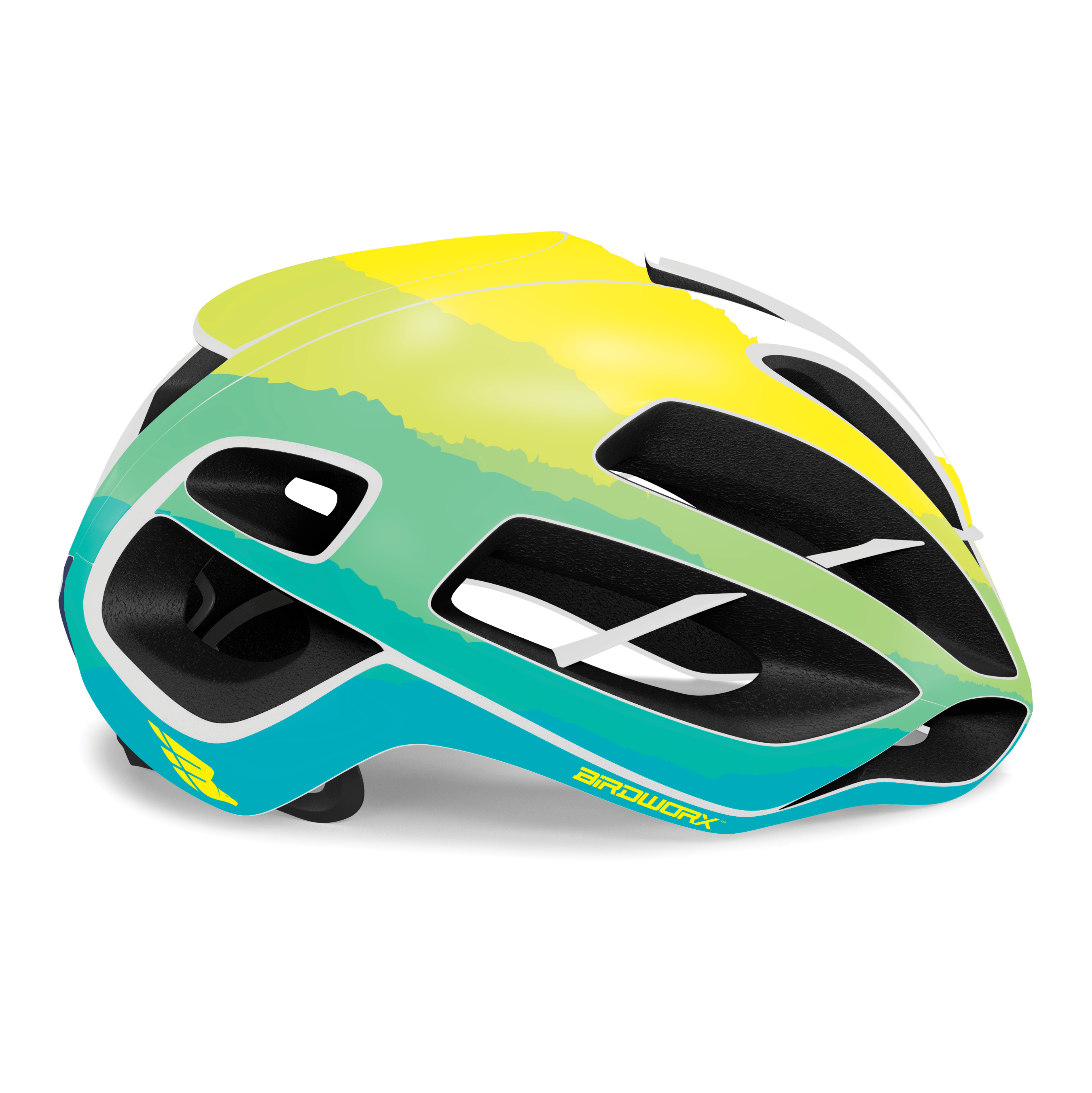 BIRDWORX ASCENT for KASK PROTONE ICON